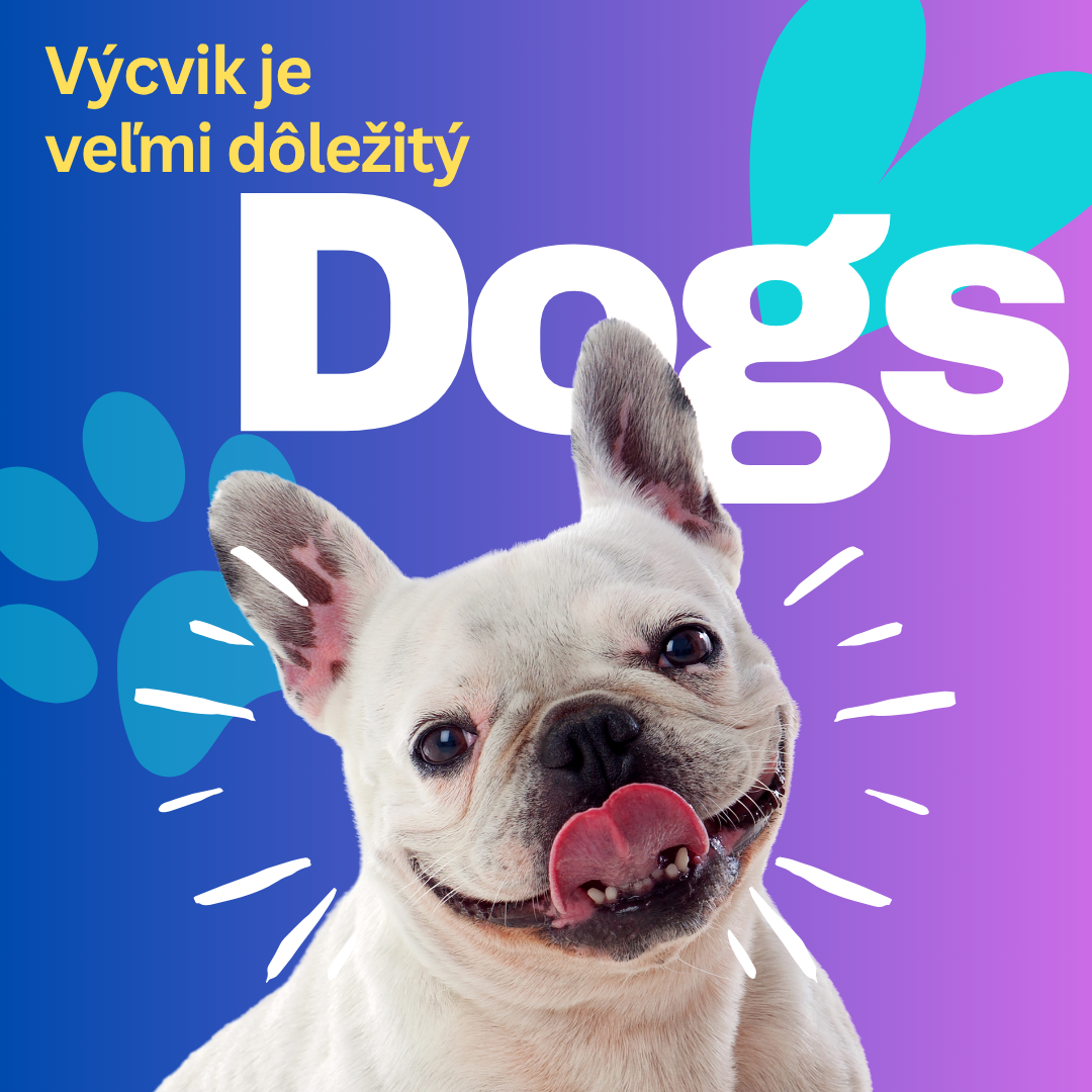 Domov dog pet shop instagram post